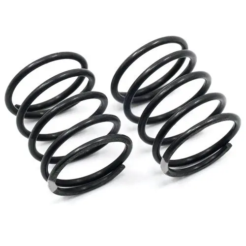 Medium Spring Pair Silver (Xp-10169) 1