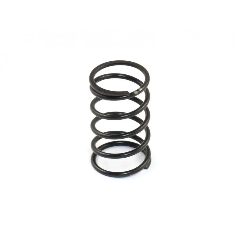 Roche - Dvs-W Center Damper Spring (Medium) (330127)     .. 1