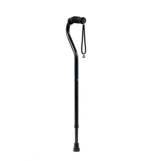 Classic Cane In Black 1
