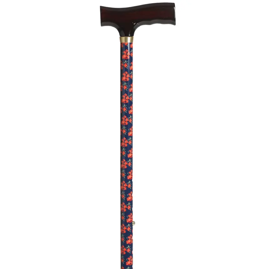 "T" Handle Cane 1