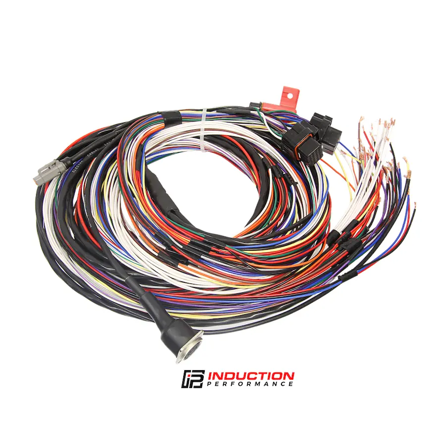 Motec 10' Unterminated Flying Lead Harness For Pdm15 / Pdm30 1