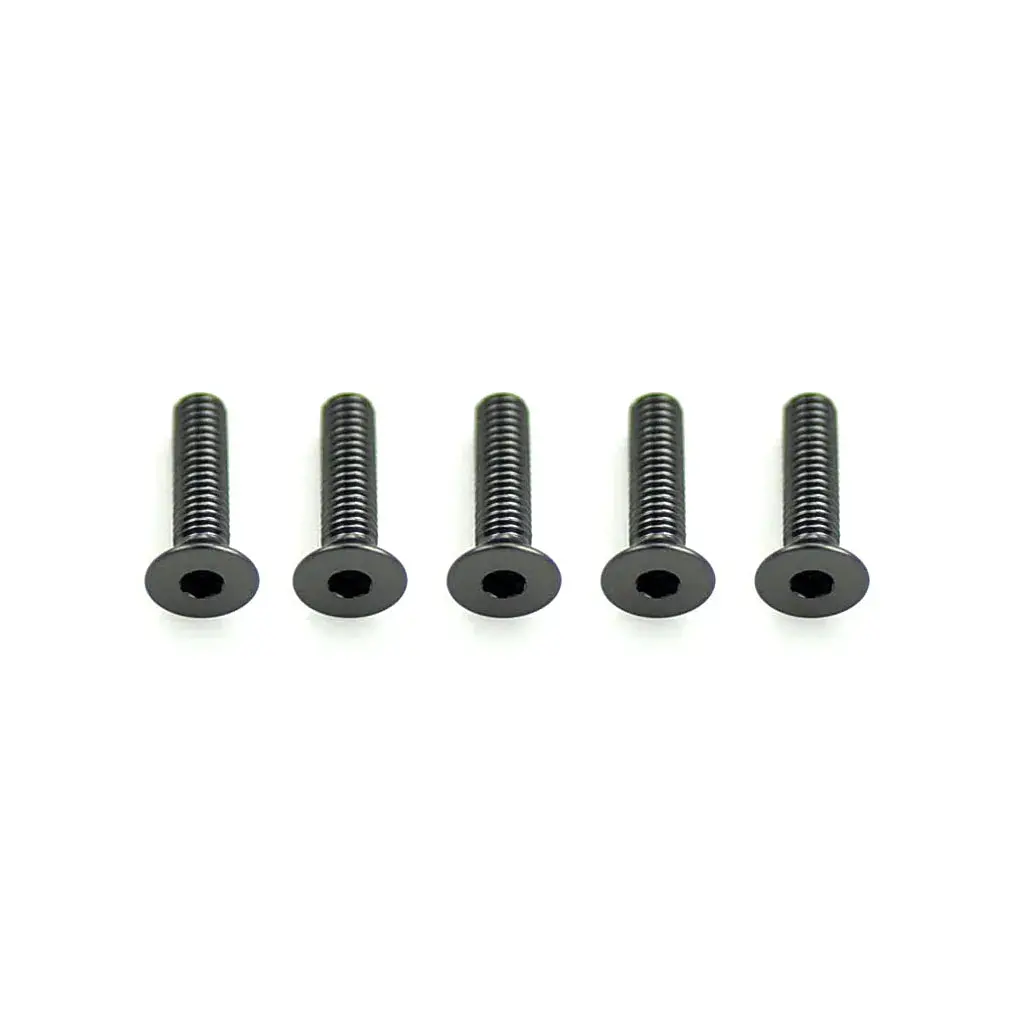 Alloy Csk Hex Screws M3 X 12 Pk10 1