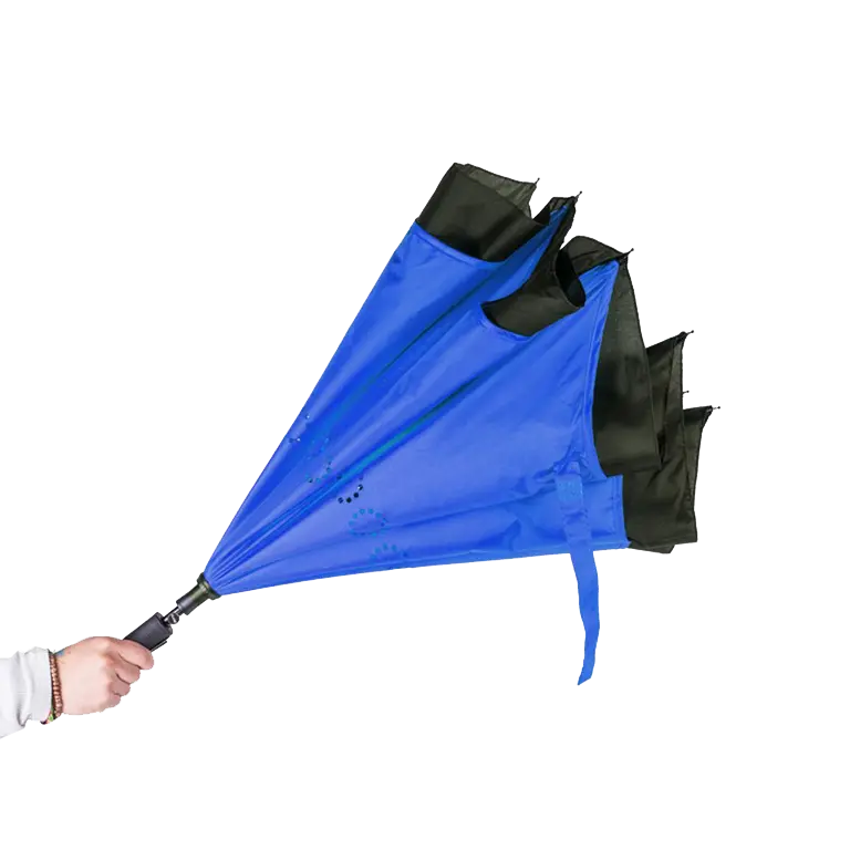 Buick Inverted Umbrella 2
