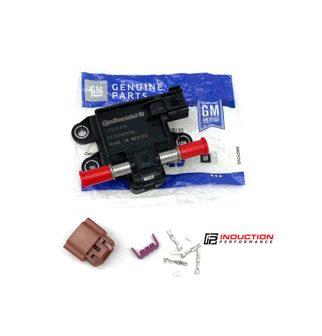 Induction Performance Flex Fuel Kit 1