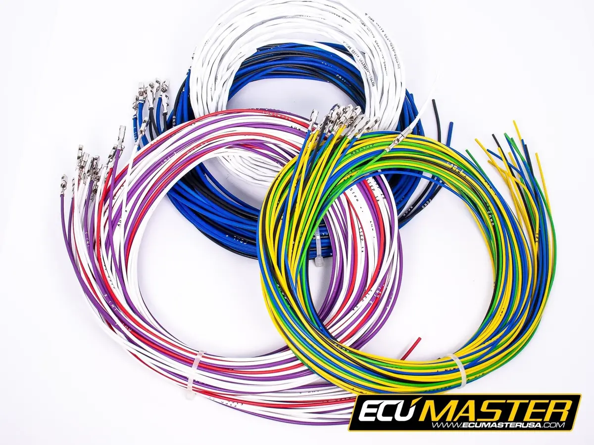 Ecumaster Emu Flying Lead Harness 1