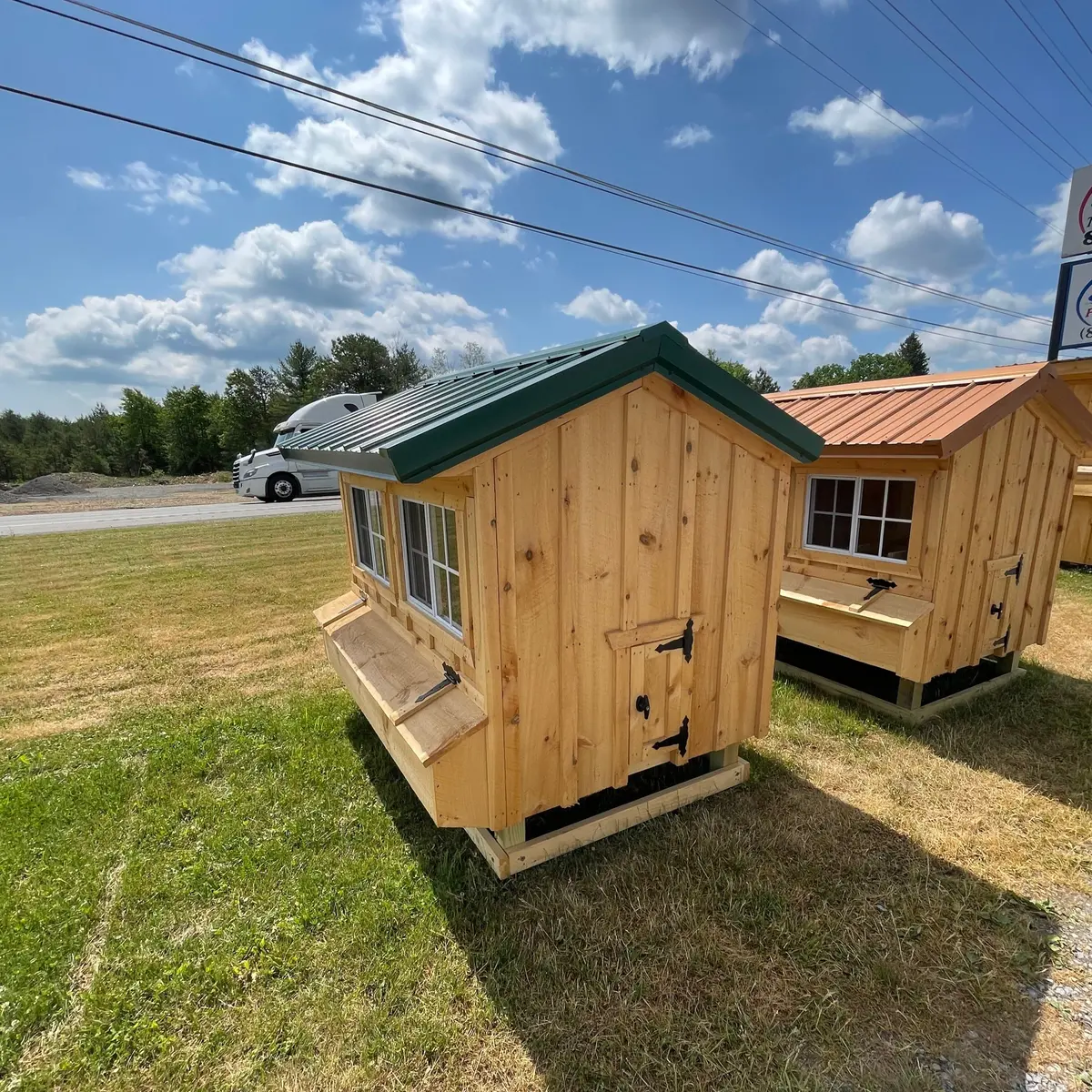 4X6 Chicken Coop 1