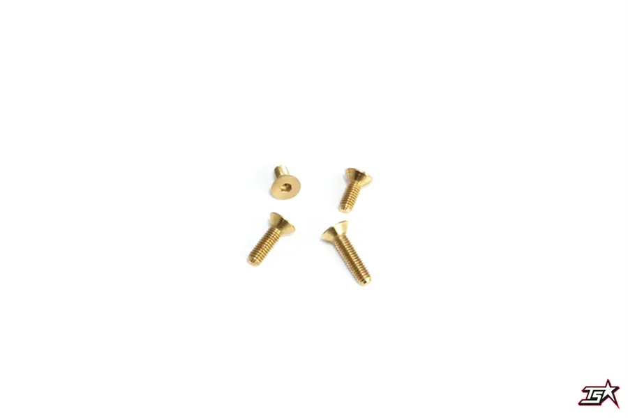 Mr33 Flathead Brass Screw  Mr33-Fbs310 (5Pce) 1