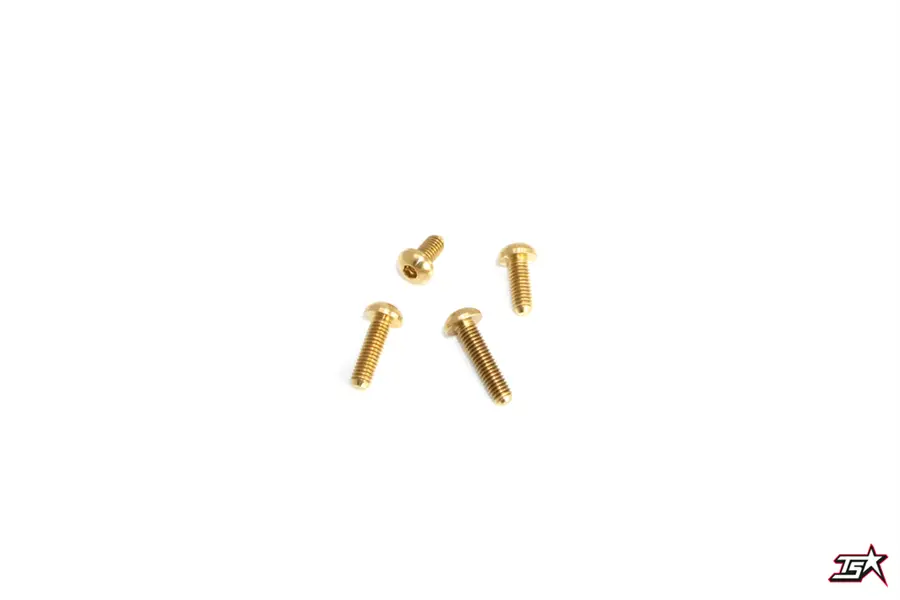 Mr33 Roundhead Brass Screw Mr33-Rbs308  (5Pce) 1