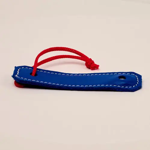 Ong Magnetic Key 1