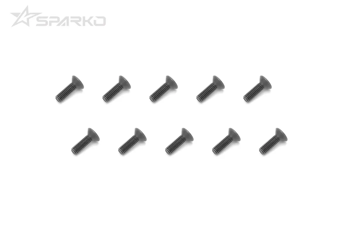 Flat Screw M3x10mm (10Pcs) 1