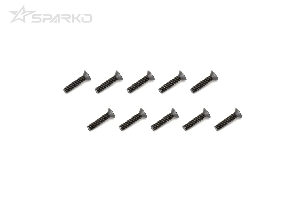 Flat Screw M3x14mm (10Pcs) 1