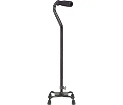 Quad Cane, Small Base 1
