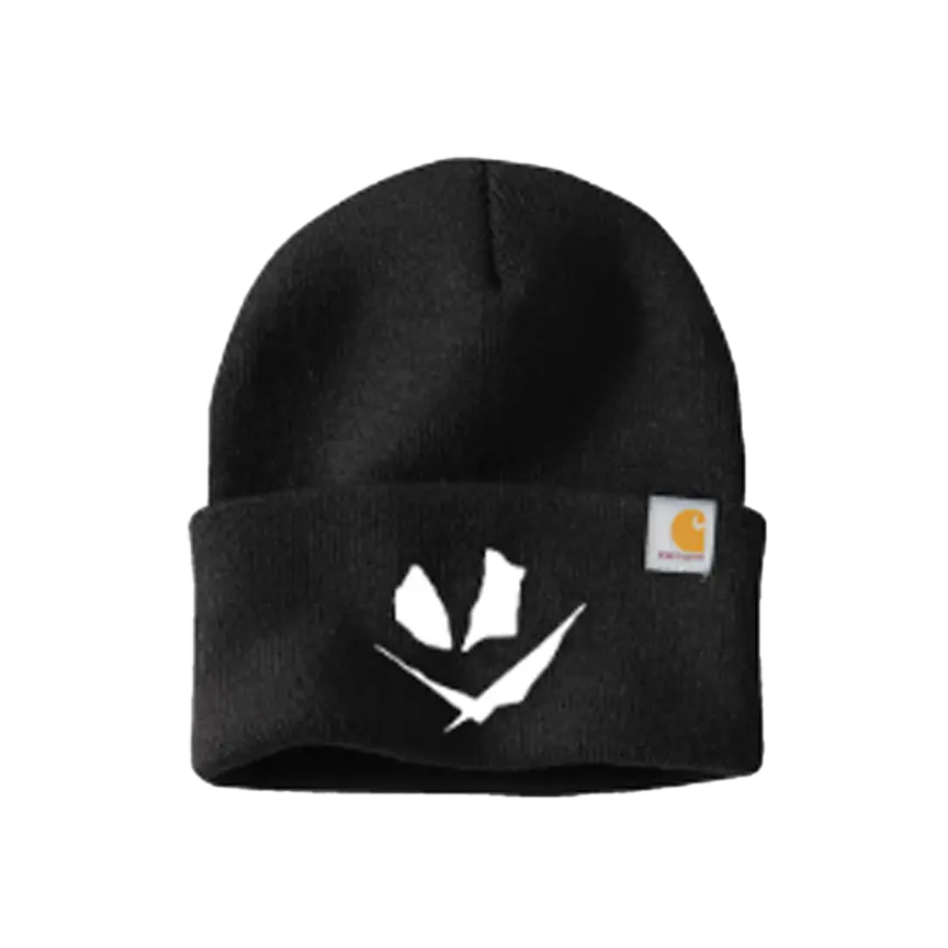 Pdt Carhartt Knit Cap 2