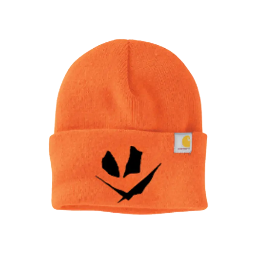 Pdt Carhartt Knit Cap 2